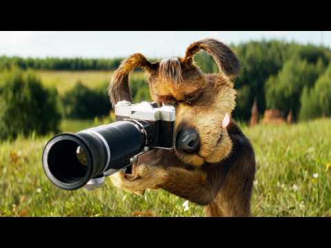 Простоквашино — Трейлер (2026)